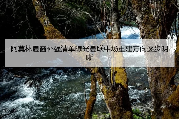 阿莫林夏窗补强清单曝光曼联中场重建方向逐步明晰