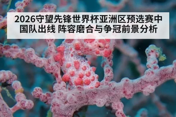 2026守望先锋世界杯亚洲区预选赛中国队出线 阵容磨合与争冠前景分析